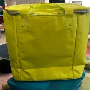 Set of 2 - Bright Chartreuse bicycle side bag - like new!